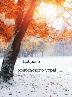 Ноябрьский осенний привет! - YouTube