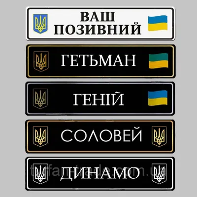 Кто ездит на блатных номерах «ВОР», «ХАМ» и «АУЕ»* в Новосибирске - 11  марта 2023 - НГС.ру