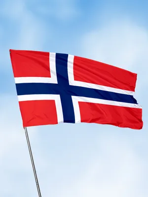 Флаг Норвегия - купить Флаг по выгодной цене в интернет-магазине OZON  (252409322)