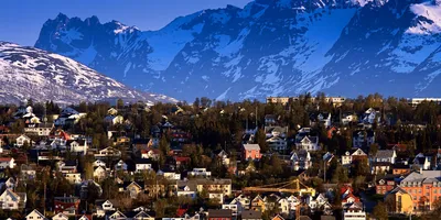 Что посмотреть в Норвегии зимой, кроме фьордов, и когда лучше ехать, чем  заняться и где остановиться — Яндекс Путешествия
