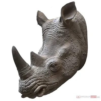 Носорог звуки животных для детей / Звук носорога, крик носорога | Белый  носорог, Носорог, Животные