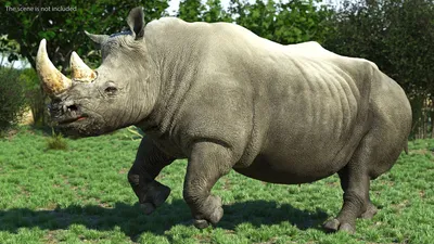Поза идущего носорога 3D Модель $149 - .3ds .blend .c4d .fbx .max .ma .lxo  .obj - Free3D