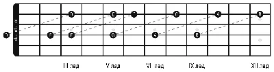 Ноты на грифе гитары, с указанием октав — Аккорды. Гитара