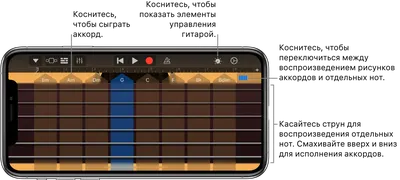 Наклейки на гриф гитары для начинающего гитариста / прозрачные липкие  стикеры / цветные аккорды и ноты , медиаторы - купить с доставкой по  выгодным ценам в интернет-магазине OZON (991446464)