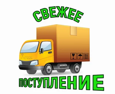🚀 Оптовый поставщик ilikegift.ru для совместных покупок 🚀