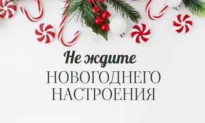 Открытка «Новогоднего настроения» — купить в Москве в интернет-магазине  Milarky.ru