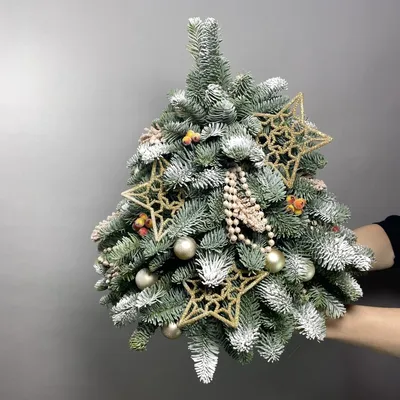Новогодняя ёлка | Christmas themes decorations, Black christmas tree  decorations, Elegant christmas trees