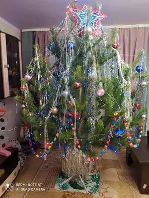 Новогодняя елка в доме: как выбрать и чем ее украсить - Советы - РИАМО в  Королеве
