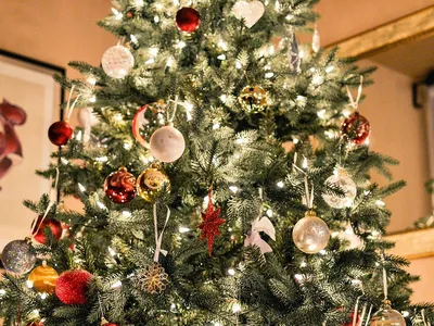 7 советов, чтобы новогодняя елка дольше стояла