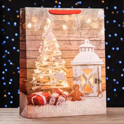 Купить Пакет ламинированный вертикальный «Новогодние приготовления», M 26 ×  30 × 9 см в Новосибирске, цена, недорого - интернет магазин Подарок Плюс
