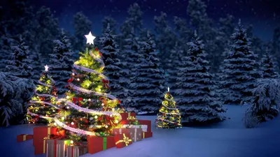 Picture Christmas Spruce Christmas tree Gifts 1366x768