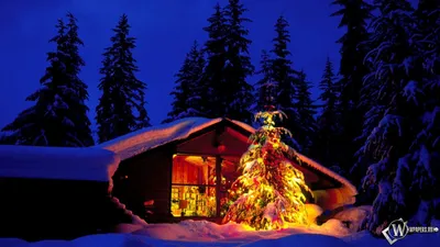 Обои \"Зима и Новый год\" на рабочий стол: самые яркие!