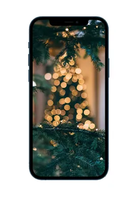 Чехол Силиконовый Новогодний для IPhone 13 Christmas Tree (04) — Купить на  BIGL.UA ᐉ Удобная Доставка (1533614058)