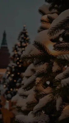 новогодний фон для stories | Изображения неба, Картинки снега,  Рождественские обои