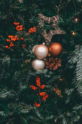 Бесплатные новогодние обои на телефон | Зимние украшения, Святки,  Рождественские изображения