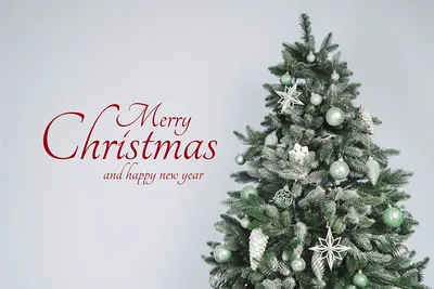 Красный Рождество И Word И Пустым Открытки С Green Christmas Tree —  стоковые фотографии и другие картинки 2015 - iStock