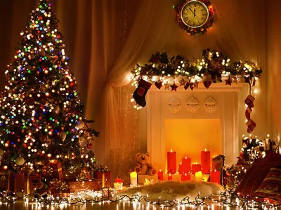 Самые необычные новогодние елки в Нижегородской области 26 декабря 2023  года | Нижегородская правда