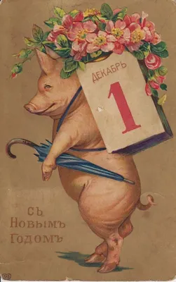 Год свиньи, кабана 2019! Свинья, поросенок, свинка, кабан! Красивые  открытки, живые картинки с новым годом 2019! Открытка со свин… | Открытки,  Свинки, С новым годом