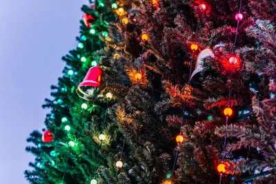 Download Wallpaper Christmas Tree, Balloons, Garlands, - Рабочий Стол  Новогодние Картинки Скачать - 1600x1600 Wallpaper - teahub.io