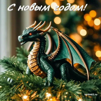 Яркие огни и праздничное настроение: в Краснодаре показали самые красивые  новогодние ёлки