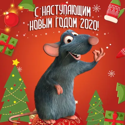 Как правильно встретить Новый, 2020, год – год Крысы – Трибуна