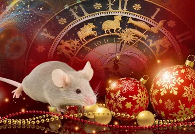 Красивые открытки с Новым Годом 2020 - Крысы | Рождественские открытки  своими руками, Открытки, Новогодние пожелания
