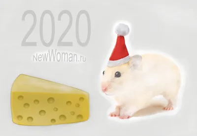 Как украсить комнату к Новому году Стальной крысы