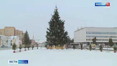 Новогодние и рождественские обои для рабочего стола компьютера #100