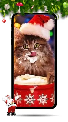 Красивые HD-обои с кошками №4. Новогодний выпуск | Кошкомир