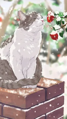 Кот в шапке новогодней рисунок - 82 фото