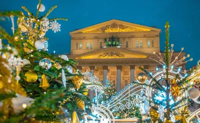 Экскурсия «Новогодний Петербург и самые красивые ёлки города»