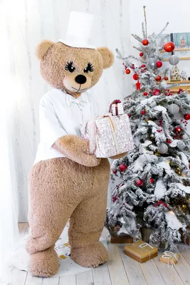 Новогодняя акция: симпатичный плюшевый мишка Teddy в подарок! – Беламаркет  Хелена Валери