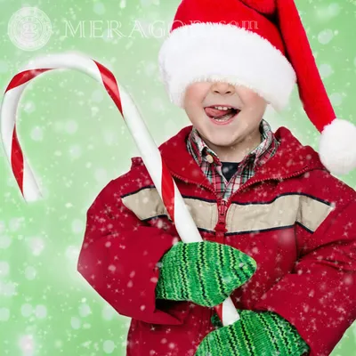 Christmas Avatar Maker поможет сделать новогоднее фото профиля для соцсетей  - Лайфхакер
