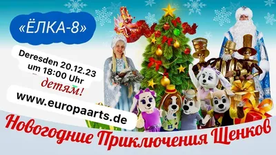 Большинство россиян планируют встретиться с родными и друзьями на новогодних  праздниках | Вести Татарстан