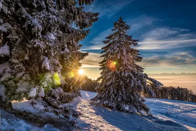 Зимний новогодний пейзаж (95 фото) - 95 фото