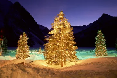 Новогодние заставки - красивая зимняя природа картинки - webmandry.com