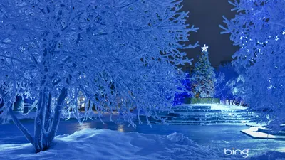 Зимний природный пейзаж, рождественская новогодняя карточка для дизайна  Иллюстрация штока - иллюстрации насчитывающей конструкция, льдед: 164626556