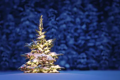 снеговик , зима, снег, пейзаж , рождество , природа , фон , строительство ,  белый , сезон , на открытом воздухе , рождество, холодный , замороженные  Stock Photo | Adobe Stock