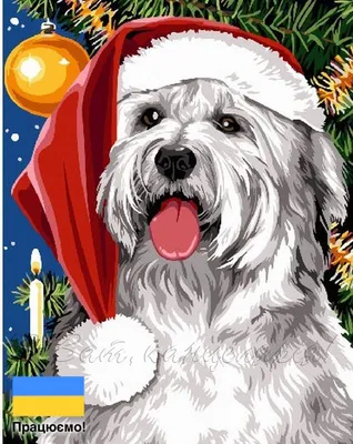 Кавайняшка: Позитивные новогодние открытки с животными - YouLoveIt.ru