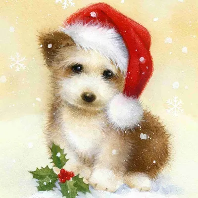 Картина по номерам Brushme Новогодняя собака, 40x50 см (GX24156) - купить в  Киеве по выгодной цене от 225 грн., продажа в интернет магазине канцтоваров  VV.ua
