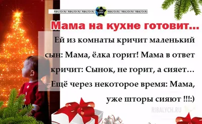 Новогодние анекдоты в веселых картинках! | Картинки, Слог, Веселые картинки