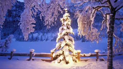 Снежный шар со снегом Большой Шар новогодний с Дедом Морозом внутри  Автометель (ID#1521798429), цена: 396 ₴, купить на Prom.ua