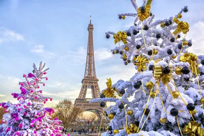 Новогодний Париж. Фото | Пилигрим | Дзен