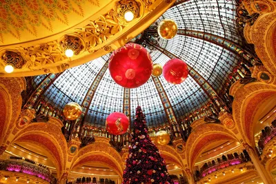 Новый год в Париже: где и как встретить новый год в Париже