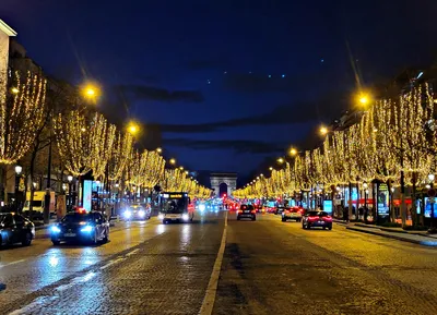 Новогодние и Рождественские огни Парижа - с Котигорошко 2024