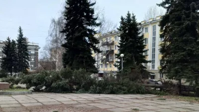 Число пострадавших после урагана в Новокузнецке возросло до шести - РИА  Новости, 20.11.2023