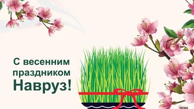 Праздник Новруз Байрам Лучшие Поздравления с Навруз Байрам музыкальная  видео открытка Novruz Bayrami - YouTube