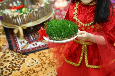 Мехрибан Алиева поздравила азербайджанский народ с праздником Новруз |  Report.az