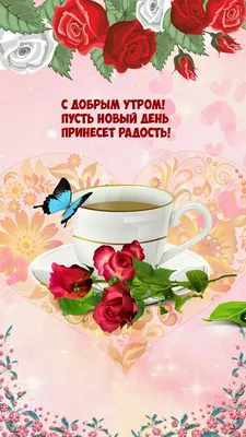 Ряженка Новый день 2,5% 0,5 л — купить с доставкой на дом в  интернет-магазине Солнечный