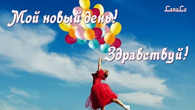 Картинки \"С Добрым Утром и Хорошего Дня!\" (461 шт.)